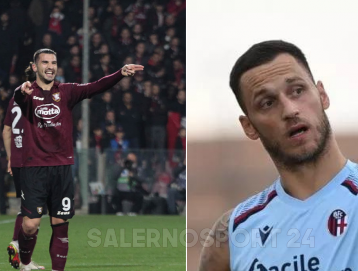 salernitana-bologna