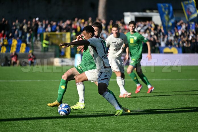 carrarese-salernitana